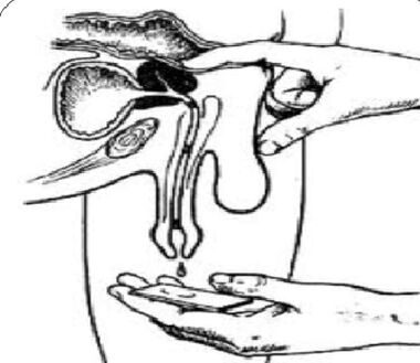 Prostate massage to obtain a secret